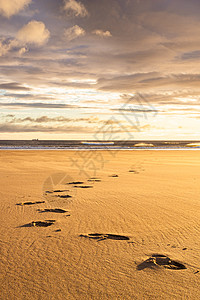 日出在沙滩上海洋支撑海岸黄色阳光金子地平线脚印太阳橙子图片