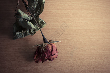 将干玫瑰放在木制桌子上植物死亡花朵棕色边界木头红色时间叶子图片