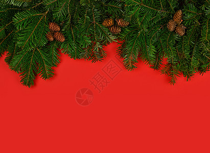 将圣诞树的树枝补红图片