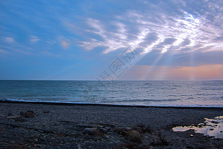 海岸和阳光 俄罗斯清晨夏日图片