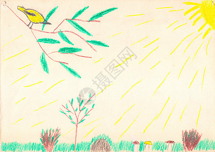 黄色的鸟坐在树枝黄色的太阳绿草地上 儿童画图片