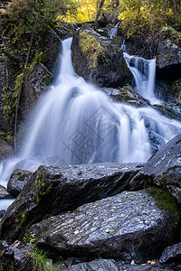 阿尔泰河的一条山河上的小瀑布 阿尔泰山区河流旅行风景溪流运动树叶蓝色森林公园山脉树木图片