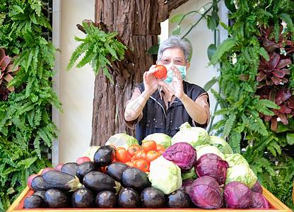 农场木车马车里带水果蔬菜的亚洲老年老年妇女市场食物小贩面具大车销售女士贸易店铺车皮图片
