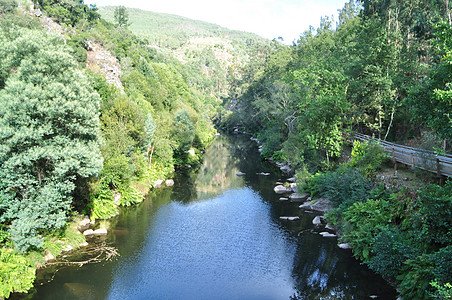 葡萄牙Paiva河的景象海报绿色跑步植被回声棕色生态河岸风景环境图片
