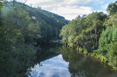 葡萄牙Paiva河的景象跑步海报生态河岸荒野棕色河流风景绿色回声图片