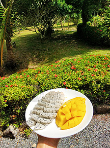 热带早餐 热带花园水果板 维他命健康早餐 包括假期营养旅行饮食食物沙拉桂圆异国果汁盘子图片