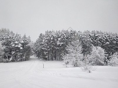 冬季风景 冬季梯子上覆满白雪的冬天梯子 积雪中的树木天气村庄假期小路建筑太阳降雪房子雪堆农村图片