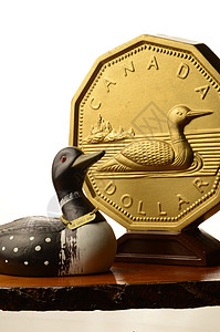 加拿大元(美元)图片