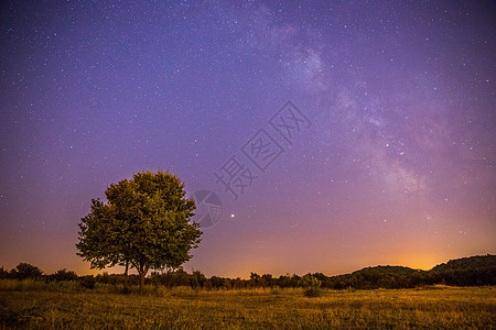夜晚和星星 风景 夜里清银 孤单的田地和树宇宙物理望远镜史诗夜空科学紫色星尘场地孤独图片