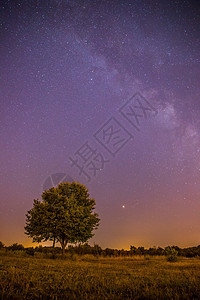 夜晚和星星 风景 夜里清银 孤单的田地和树紫色定位场地全球天堂摄影流星天文学星系夜景图片
