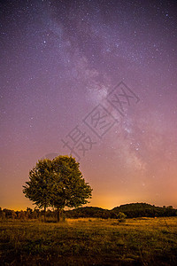 夜晚和星星 风景 夜里清银 孤单的田地和树星云望远镜星尘物理科学紫色天堂系统天文恒星图片