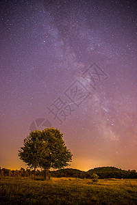 夜晚和星星 风景 夜里清银 孤单的田地和树紫色星云星系孤独照片天文气氛天文学夜空场地图片