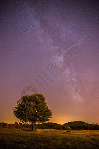 夜晚和星星 风景 夜里清银 孤单的田地和树科学行星上帝史诗夜空紫色恒星星光全球宇宙图片