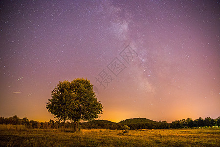 夜晚和星星 风景 夜里清银 孤单的田地和树上帝流星银河系照片天文学摄影场地星云物理史诗图片