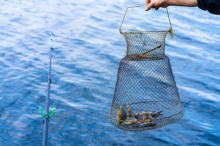 钓鱼业爱好和闲暇 无声猎捕池塘海鲜捕手淡水鱼缸鱼篮篮子鲤鱼渔业渔夫图片