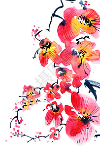 浅草树枝手工植物树苗花园手绘刷子樱花插图艺术卡片图片