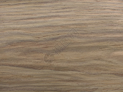 天然灰色美国胡桃木平切木材纹理背景 内部和外部制造商使用的单板表面坚果木板木匠铺粮食树干木头控制板装饰地面材料图片