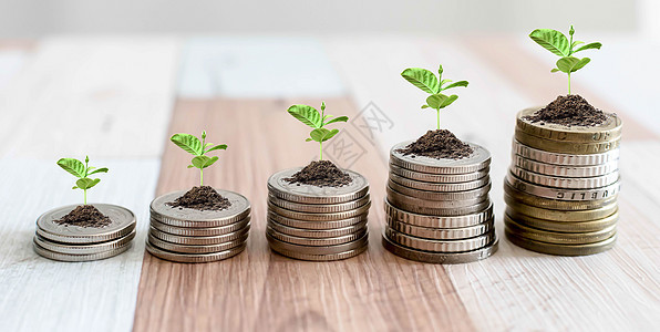 增长货币-纸币植物-金融与投资概念 在硬币的一排上种植工厂 从事商业业务图片
