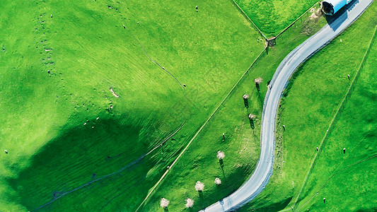 春季对多彩色新西兰乡村的空中观景蓝色飞机风景旅行全景国家旅游假期环境奶制品图片