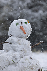 一些孩子做的雪人 退役公园 马德里分支机构场景城市雪花风暴天气暴风雪季节纽扣冻结图片