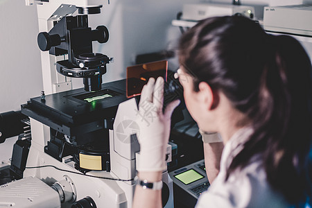 生命科学研究员在基因科学实验室进行显微镜观察学生项目药剂师科学家医生光束女性工作外套大学图片