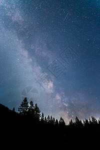 暗夜的银河系 明亮的乳色 树木的光影星尘气氛夜空天文学上帝科学望远镜行星系统出口图片