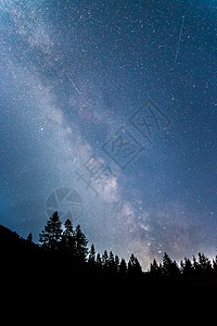 暗夜的银河系 明亮的乳色 树木的光影行星森林夜空天文夜景星光全球照片气氛科学图片