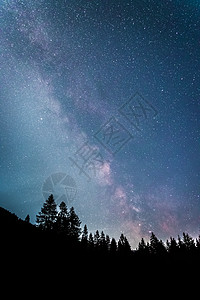 暗夜的银河系 明亮的乳色 树木的光影天堂星云行星史诗星尘森林天文照片宇宙出口图片