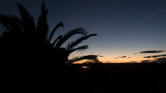 日落时的落后热带植物照片太空植被月亮太阳海滩气氛自然环境棕榈天空背景图片