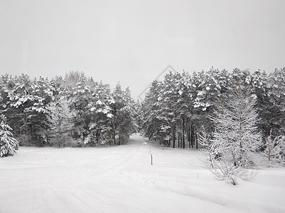 冬季风景 冬季梯子上覆满白雪的冬天梯子 积雪中的树木房子假期乡村城市太阳小路日落运输痕迹农村图片