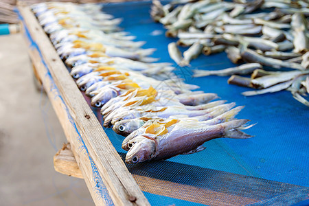 海鱼干组金属市场动物烹饪营养美食盐渍钓鱼蓝色食物背景图片