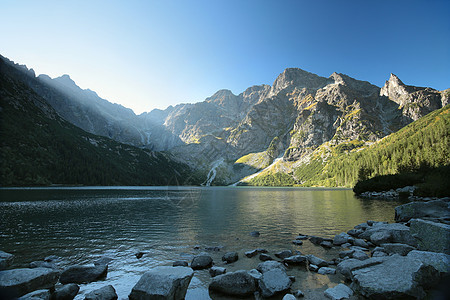 黎明时喀尔巴阡山山脉旅行爬坡首脑远足树木地块晴天日落风景图片