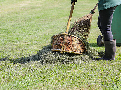 园艺人员使用天然扫帚和尘盘扫草草修剪草坪之后的草叶图片