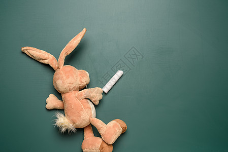 兔子拿着一块粉笔 在绿色粉笔学校的黑板背景上 写作的地方图片