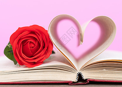 书页 弯曲的心形和红玫瑰文学符号假期奉献学习页数日记教育床单知识图片
