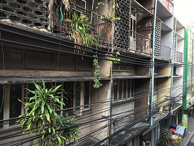 阳台植物旧公寓植物阳台街道城市金属背景