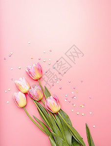 粉红色和黄色郁金香在粉红色背景上装饰着小心形 平躺顶视图 带复制空间周年框架纪念日礼物植物群庆典花束卡片墙纸风格图片
