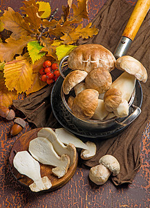 木本背景上的蘑菇布利特斯菜 特写木材生锈桌 烹饪美味的有机蘑菇生长乡村季节树叶常委食谱蔬菜荒野篮子森林图片