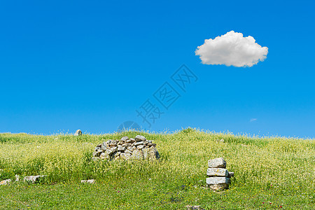 美丽的自然绿地 夏季天空晴明 云朵单云图片