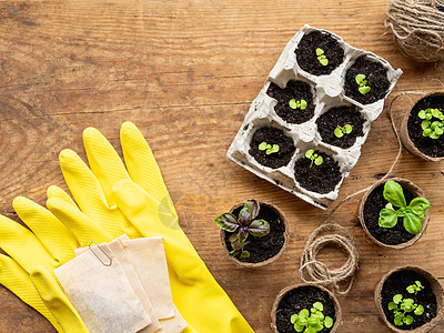 生化可降解锅中巴西尔的幼苗 黄橡胶手套和纸袋种子的顶端视图 泥炭锅中的绿色植物 复制空间的木质桌图片