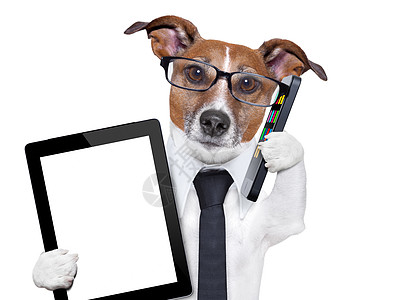 商业狗工人管理人员办公室眼镜细胞人士幽默中心宠物工作图片