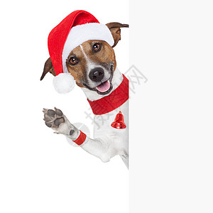 你好 再见 圣诞狗犬类横幅庆典宠物条款快乐展示小狗戏服传统图片