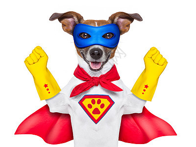 超级英雄狗吉祥物小狗英勇戏服勇气力量救援漫画帮助超级英雄图片