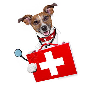 医用医生狗横幅医院疾病卫生标语护理人员宠物帮助诊所猎犬图片