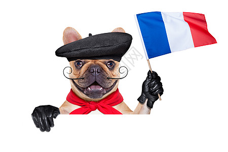 法国葡萄酒狗斗牛犬旗帜乐趣食物贝雷帽卡片哈巴狗宠物瓶子海报图片