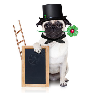 新年夜狗狗纪念日假期问候语周年烟囱迷信黑板叶子庆典横幅图片