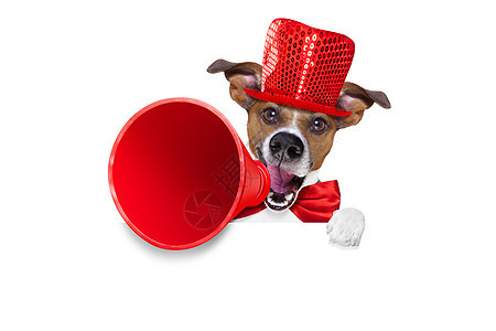 售卖狗狗的扩音器营销标语扬声器猎犬公告销售纸板嗓音讲话尖叫图片