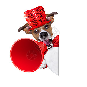 售卖狗狗的扩音器麦克风标语黑板扬声器警告动物横幅讲话标签海报图片