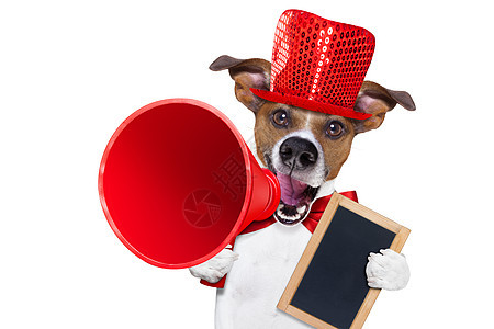 售卖狗狗的扩音器警告折扣注意力动物麦克风横幅营销海报说话嗓音图片