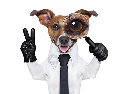 放大玻璃狗人士互联网猎犬领带监控工人间谍套装犯罪宠物图片
